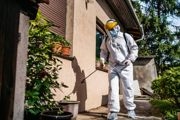 Trusted Dequincy, LA Pest Control Experts