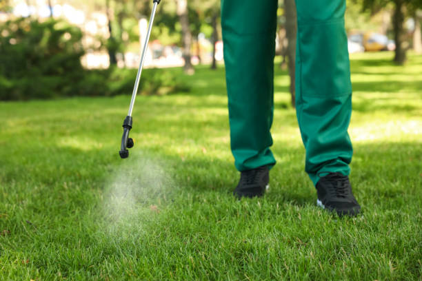 Best Pest Control for Restaurants  in Dequincy, LA