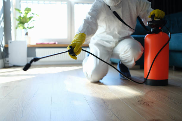 Best Affordable Pest Control Services  in Dequincy, LA