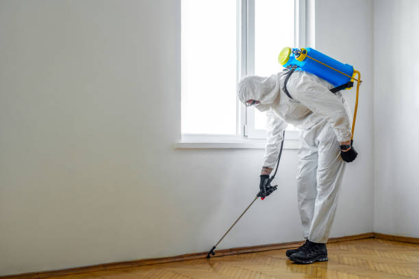 Best Pest Prevention Services  in Dequincy, LA