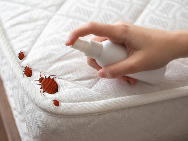 Pest Control for Restaurants in Dequincy, LA