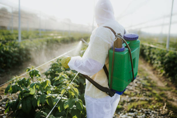 Best Residential Pest Control  in Dequincy, LA